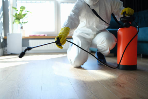 Trusted Sewage Cleanup service in Trufant, MI - Four Month Blood Cleanse